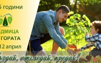 My story about the forest – Forest Week 2020
