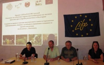 The last trainings under the “Eagle’s Forests” project were successfully completed