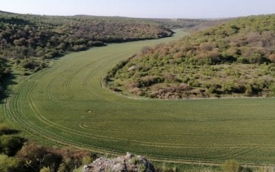 Two new nests of Lesser Spotted Eagle have been confirmed in the protected site “Suha Reka”