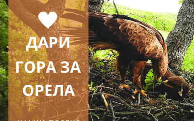 Donate forest for the eagle