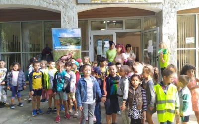 Forest pedagogy lessons continue