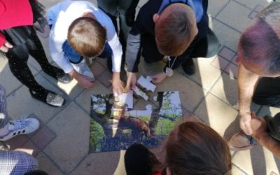 Continuing the lessons in benefit of the forest