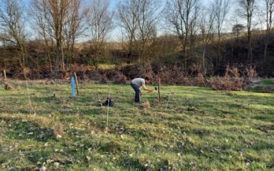 People from all over the country donated forest for the Lesser Spotted Eagle