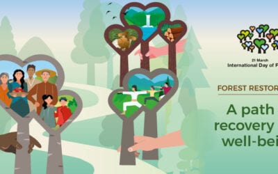  Join the photo contest for the International Forests Day