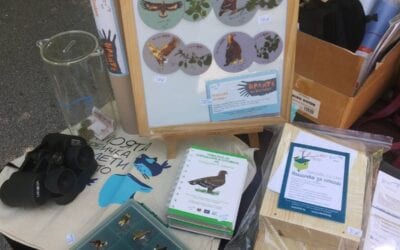 Presenting the Lesser Spotted Eagle at a children’s festival in Plovdiv