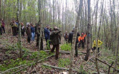 Повече от 30 лесовъди се обучаваха по Саарландския метод
